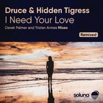 cover: Druce|Hidden Tigress - I Need Your Love (Remixed)