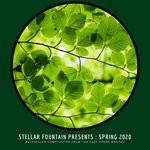 cover: Geronimo Eguiguren|Various - Stellar Fountain Presents: Spring 2020