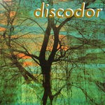 cover: Discodor - Winter Leaf