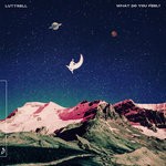 cover: Luttrell - What Do You Feel?