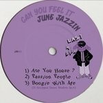 cover: June Jazzin - Can You Feel It