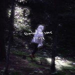 cover: White Hand Gibbon - Reworked The Same Youth