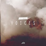 cover: Leftwave - Voices