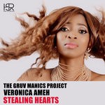 cover: The Gruv Manics Project|Veronica Ameh - Stealing Hearts