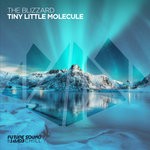 cover: The Blizzard - Tiny Little Molecule