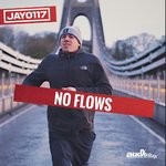 cover: Jay0117 & Audio Slugs - No Flows