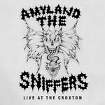 cover: Amyl & The Sniffers - Control (Live At The Croxton)