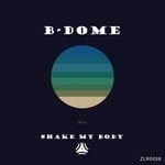 cover: Dj B-dome - Shake My Body