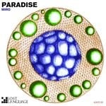 cover: Miro - Paradise Remixes