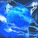 cover: Nils Hoffmann - Once In A Blue Moon