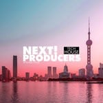 cover: Various - Next! Producers Vol 4