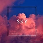 cover: Abgrund - Sky