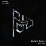 cover: Lautaro Ibanez - Like You