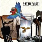 cover: Peter Visti - Illusions In A Twisted Mind