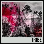 cover: Skoden - Tribe