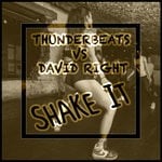 cover: David Right|Thunderbeats - Shake It