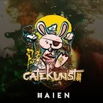 cover: Haien - Gatekunst 2020