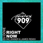 cover: Dj Dove - Right Now