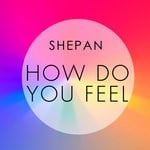 cover: Shepan - How Do You Feel