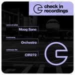 cover: Moog Sane - Orchestra