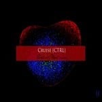 cover: Cruise [ctrl] - Red Or Blue?