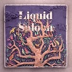 cover: Liquid Saloon - Liquid Saloon