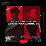 cover: Elena Temnikova|R3hab - Where You Wanna Be