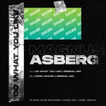 cover: Magnus Asberg - Do What You Like