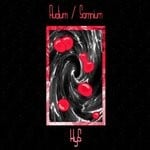 cover: Hys - Fludium/Somnium