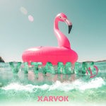 cover: Xarvok - Vitamine D