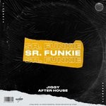 cover: Sr. Funkie - Jiggy