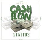 cover: Stattus - Cash Flow