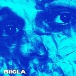 cover: Biicla - No Place