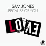 cover: Sam Jones - Because Of You (Extended Mix)