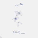 cover: Qeight - Quanatico. Homeward Bound