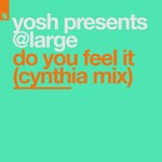 cover: @large|Yosh - Do You Feel It