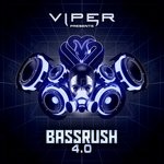 cover: Various - Bassrush 4.0