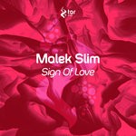 cover: Malek Slim - Sign Of Love