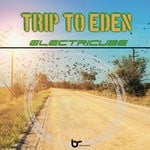 cover: Electricube - Trip To Eden