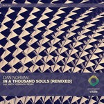 cover: Dan Norvan - In A Thousand Souls (Remixed)