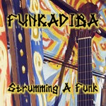 cover: Funkadiba - Strumming A Funk