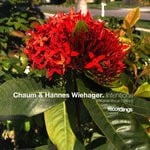 cover: Chaum|Hannes Wiehager - Intentions (Original Vocal Edition)