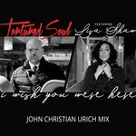 cover: Tortured Soul|Lisa Shaw - I Wish You Were Here