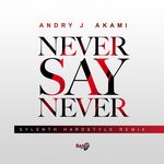 cover: Akami|Andry J - Never Say Never