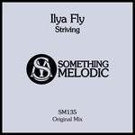 cover: Ilya Fly - Striving