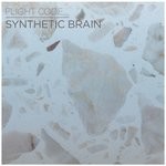 cover: Flight Code - Synthetic Brain