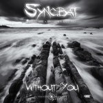 cover: Syncbat - Without You (Mixes)