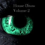 cover: Faith Howard|Ivelisse Diaz|Musical Expression|Passionardor|Vittorio Santorelli - House Divas Vol 2