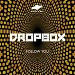 cover: Dropb0x - Follow You