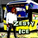 cover: Zesty Ice - Step Aside Now